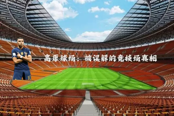 高原球场:被误解的竞技场真相